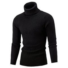 Men's Classic Comfortable Autumn Winter Warm Stylish Slim Fit Turtleneck Sweater