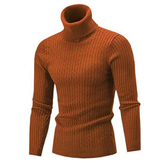 Men's Classic Comfortable Autumn Winter Warm Stylish Slim Fit Turtleneck Sweater