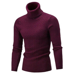 Men's Autumn Winter Slim Fit Turtleneck Sweater - Fashlot